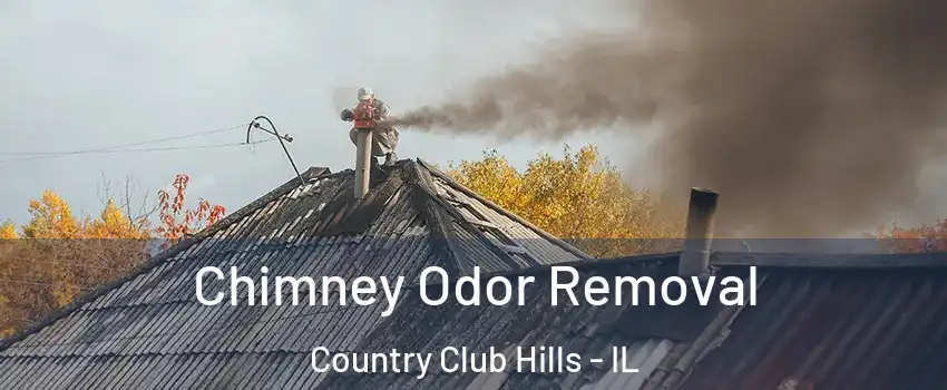  Chimney Odor Removal Country Club Hills - IL
